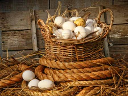 Подбирайте внимателно яйцата за люпене