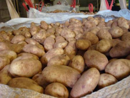 215 стопани чакат компенсации за борба с неприятелите по картофите