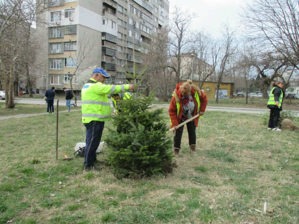 Продължава пролетното засаждане на дървета и храсти във Варна