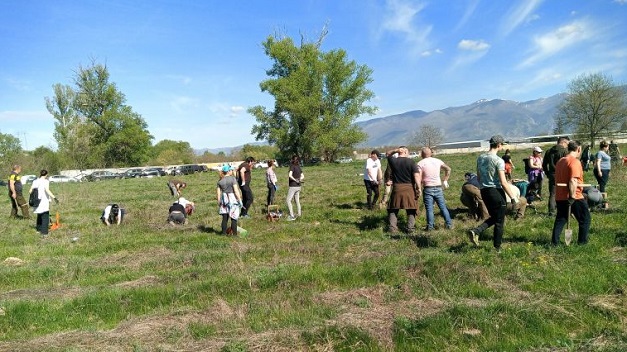 Залесиха 4000 фиданки в землището на град Баня