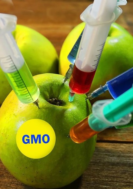 ЕС готви нов регламент за ГМО, който ще премахне досегашните изисквания за оценка на риска и етикетиране