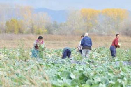 В България - без намаление при директните плащания