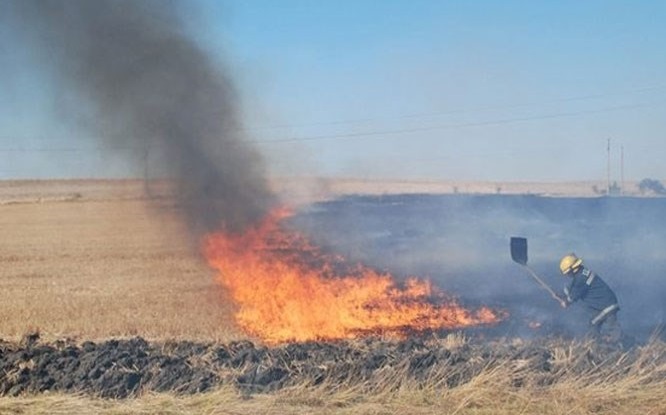 Задържаха мъж, предизвикал пожара в Михнево