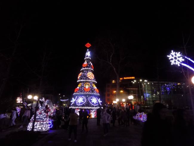 В Поморие грейна коледната елха