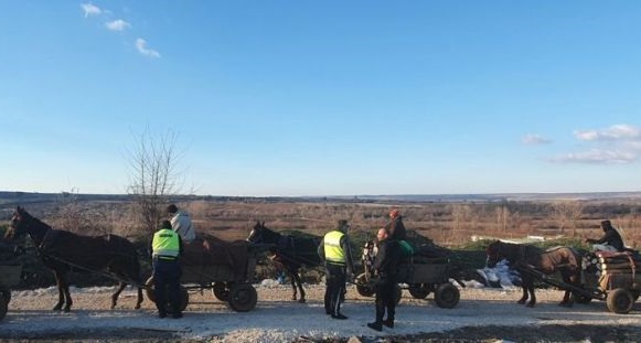 Задържаха 12 каруци с незаконна дървесина