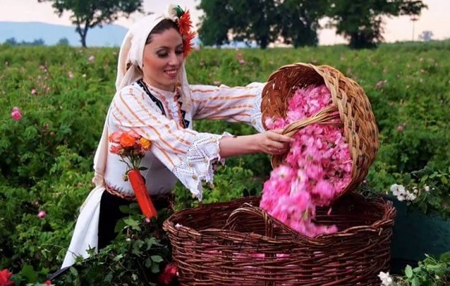 Настояват розопроизводството да стане стратегически сектор за България