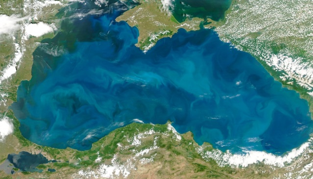 Откриха нов микроорганизъм в Черно море
