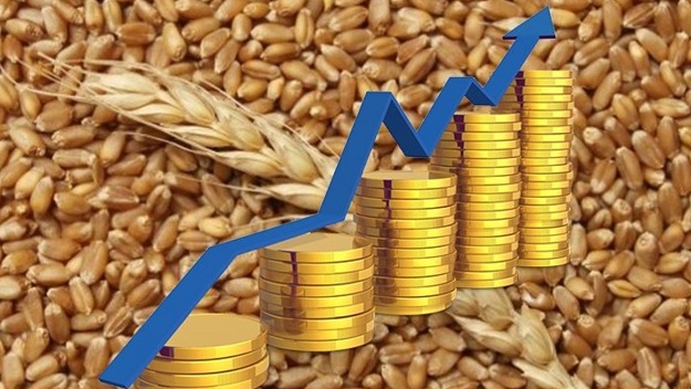 Цените на зърното в Евросъюза тръгнаха нагоре