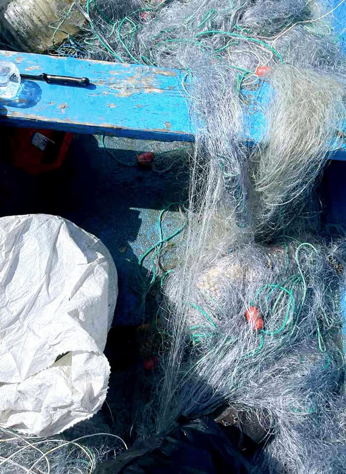 Бракониерски улов от 40 килограма шаран, сом и сулка беше върнат обратно във водите на язовир „Камчия"