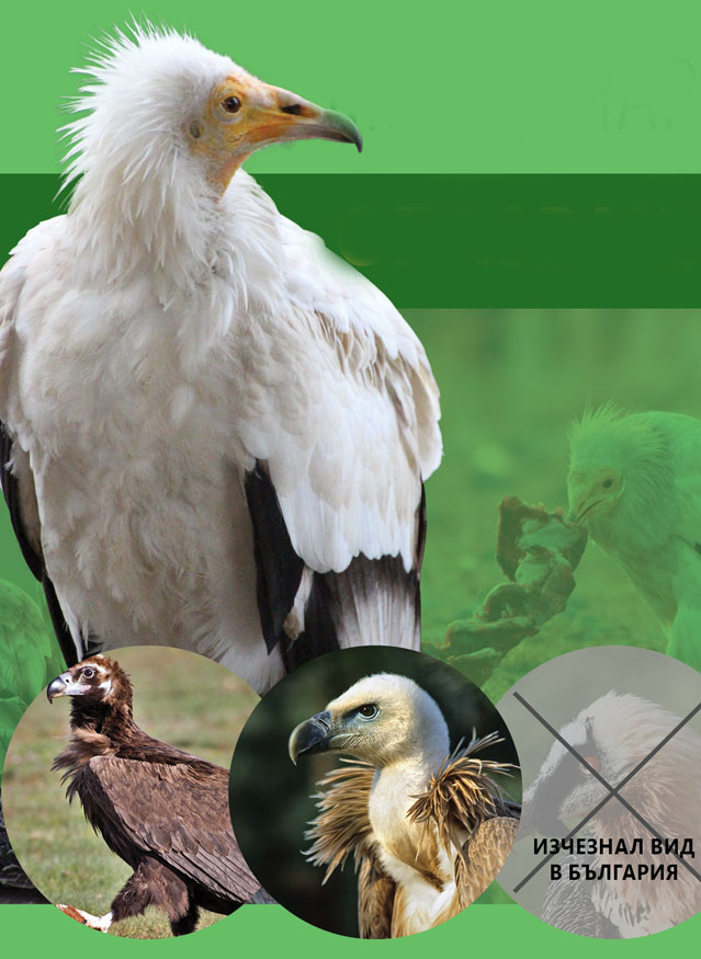 Акцент в тазгодишното издание на Международния ден на лешоядите  е опазването на тези птици от заплахи