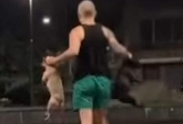 Дадоха на полицията видеозаписи с малтретиране на кучета