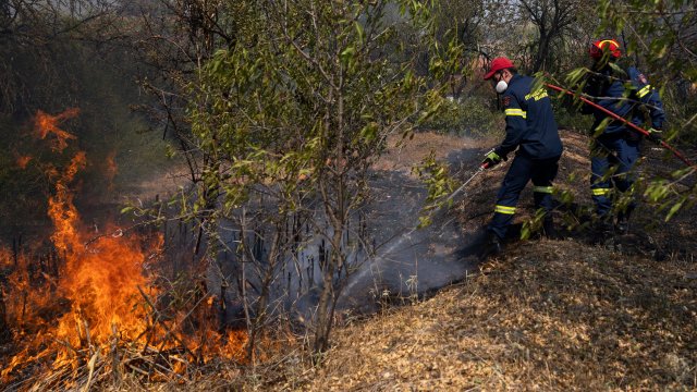 Правят просеки по границата, заради пожара в Гърция